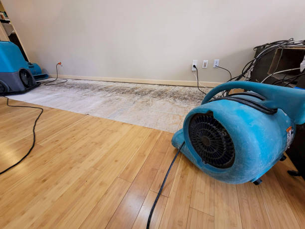 Professional Water Damage Repair technician working in Sheldon, IA
